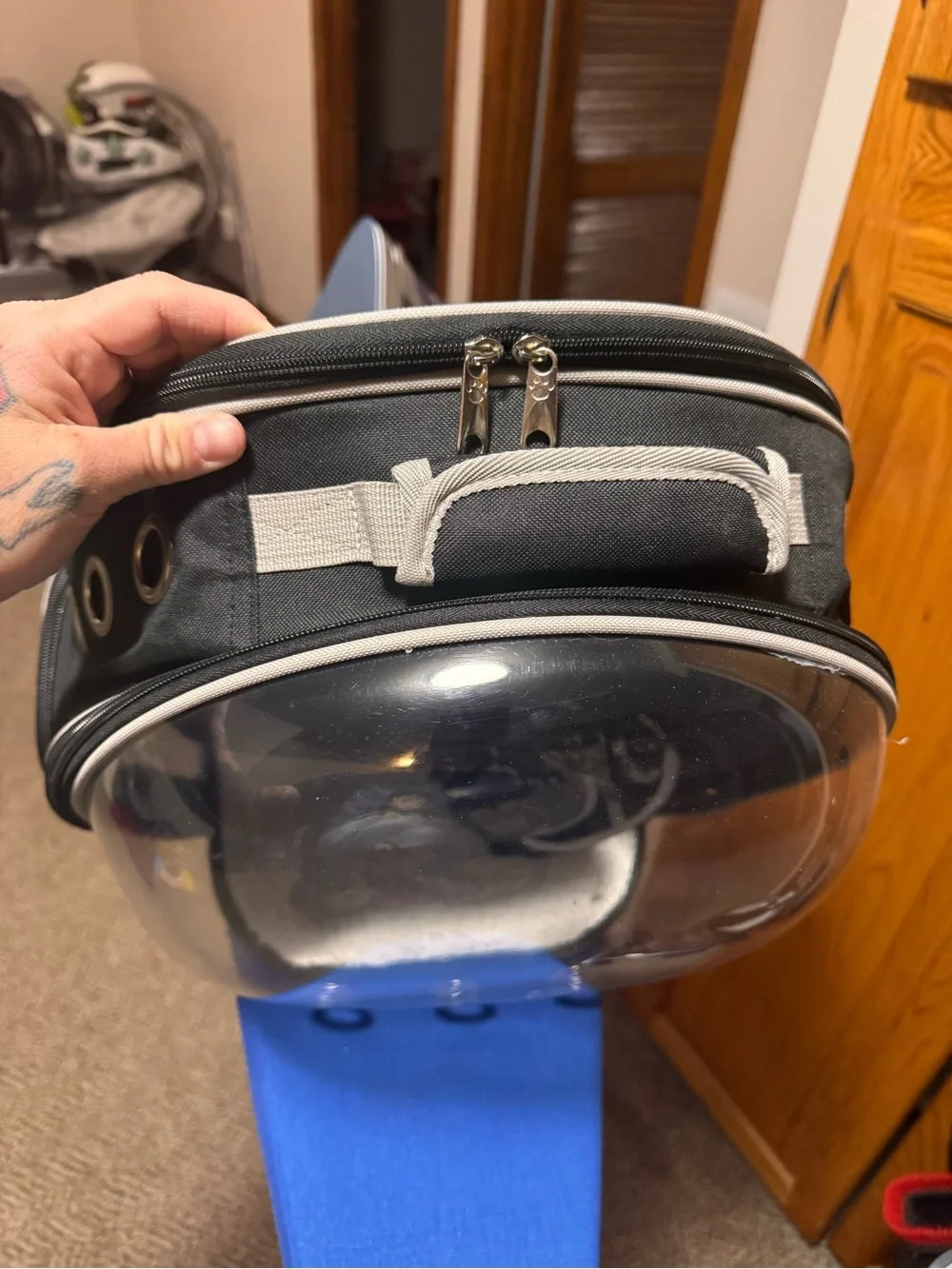 Transparent Bubble Small Pet Carrier and Harness